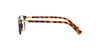 Coach HC6077 Eyeglasses / Purple / Dark Tortoise №5335 / Size 53