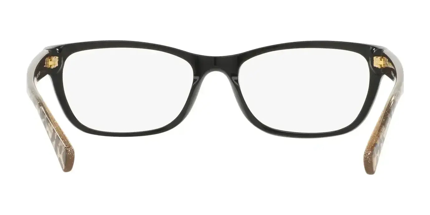 Coach HC6082 Eyeglasses | Size 53