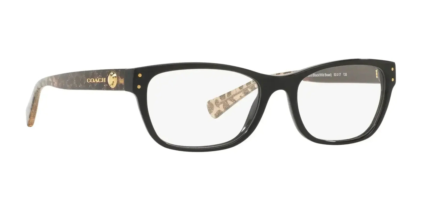 Coach HC6082 Eyeglasses | Size 53