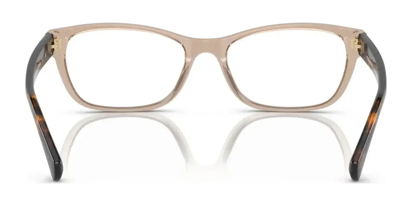 Coach HC6082 Eyeglasses | Size 53