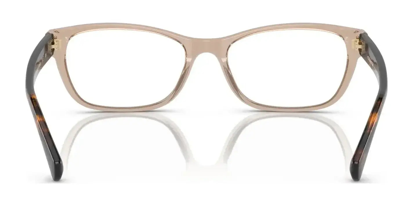 Coach HC6082 Eyeglasses | Size 53