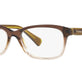 Transparent Olive Gradient №5400