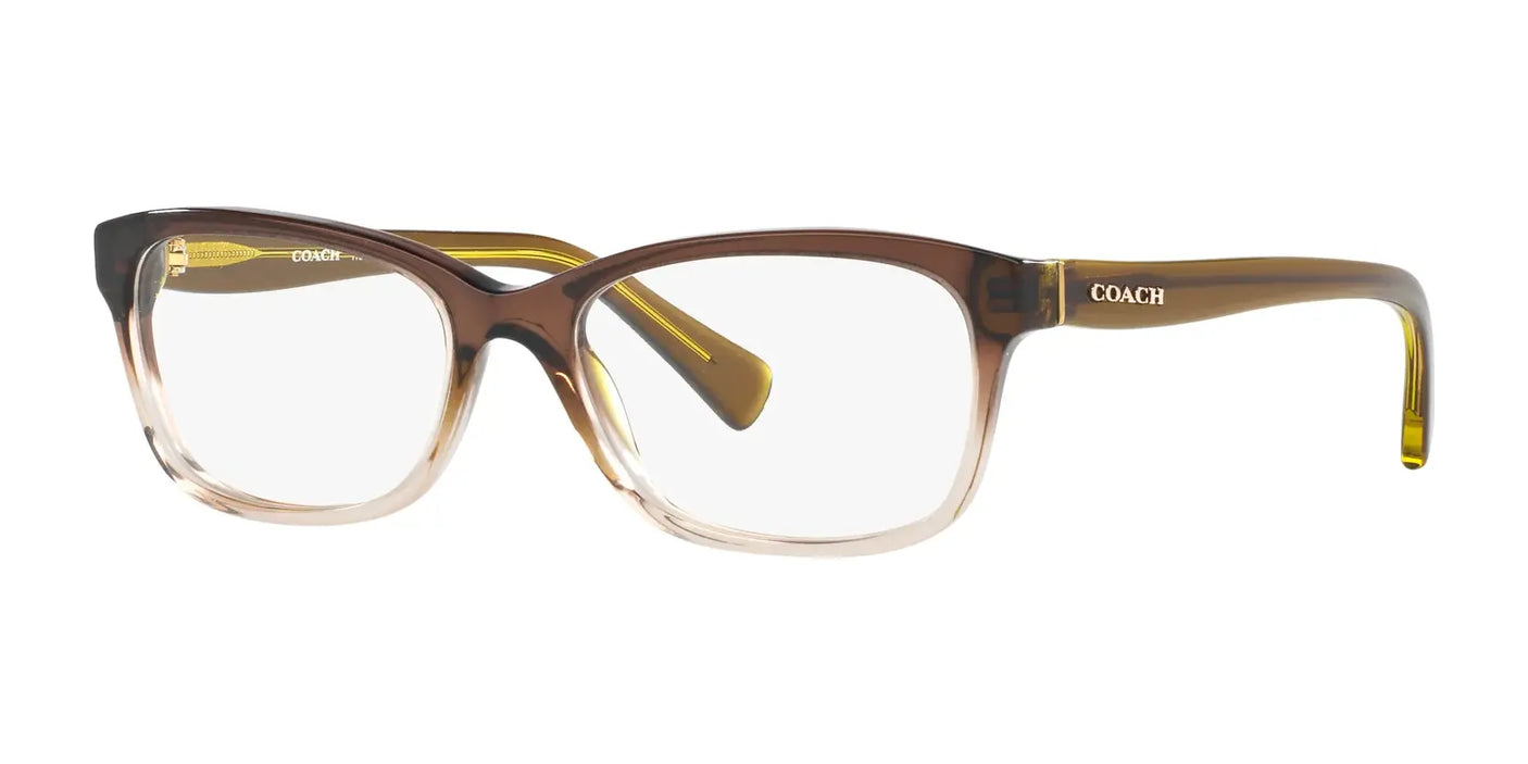 Coach HC6089 Eyeglasses Transparent Olive Gradient