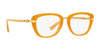 Coach HC6106B Eyeglasses | Size 50 / Amber Gold №5455