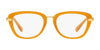 Coach HC6106B Eyeglasses | Size 50 / Amber Gold №5455