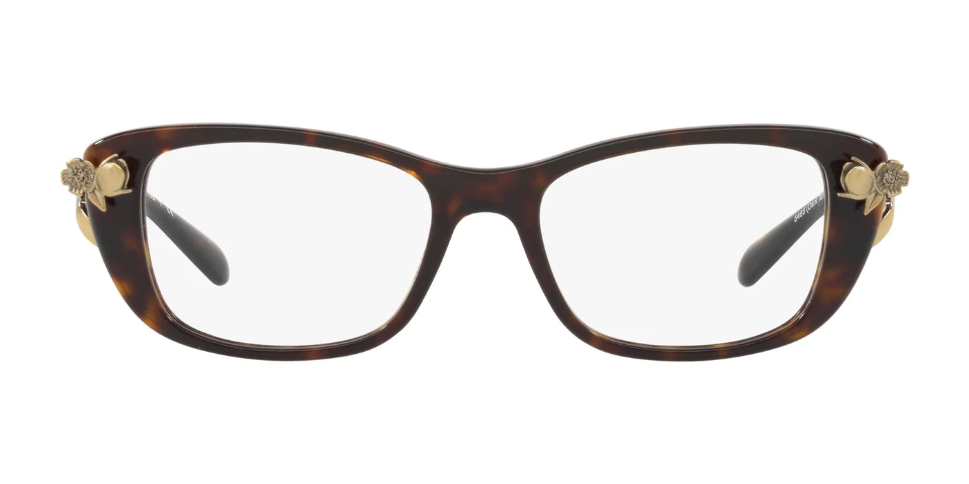 Coach HC6118B Eyeglasses | Size 51