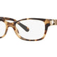 Brown Tortoise №5576