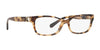 Coach HC6119 Eyeglasses | Size 53 / Brown Tortoise №5576