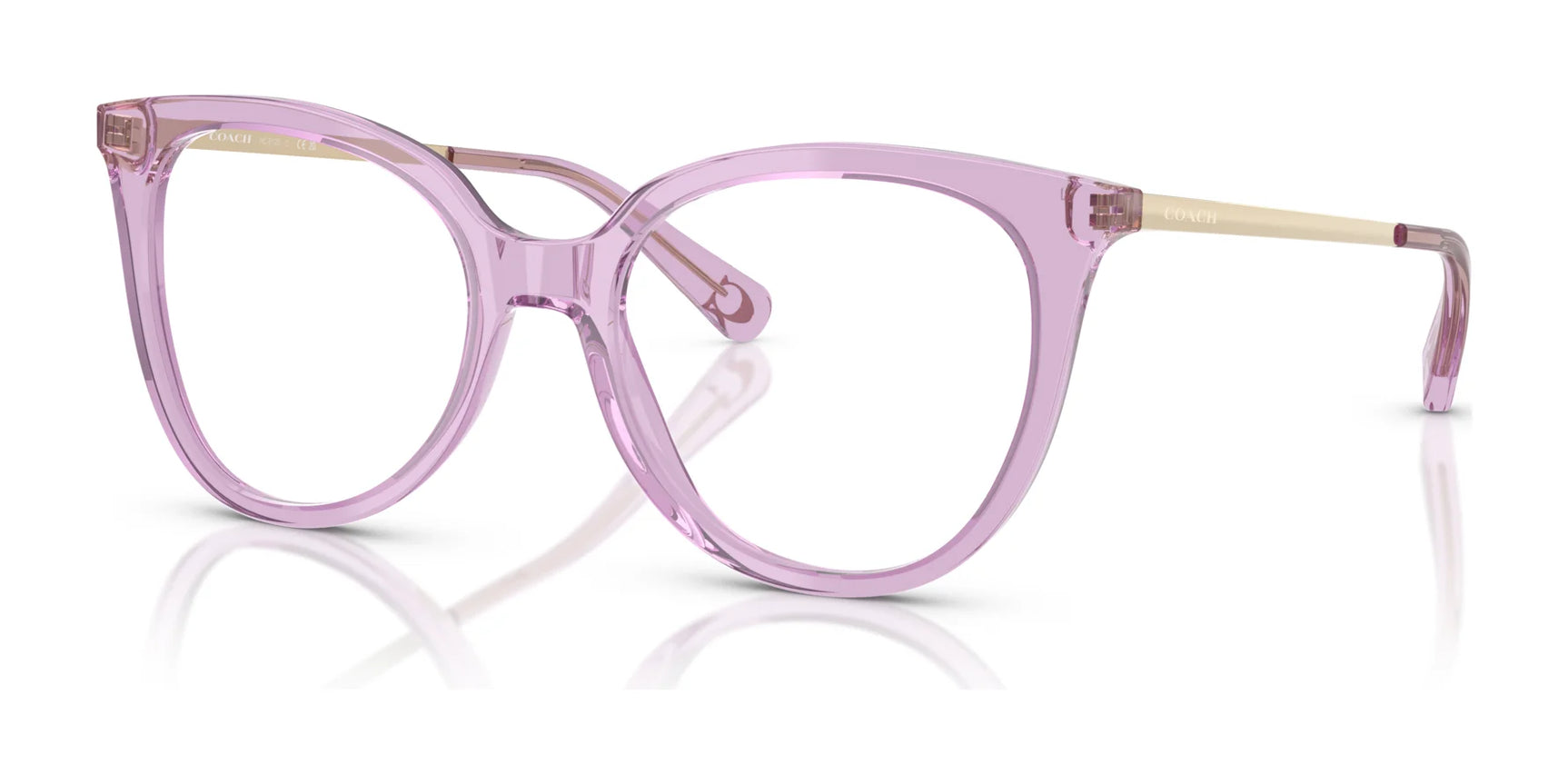 Coach HC6125 Eyeglasses Transparent Amethyst