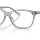 Transparent Grey №5176
