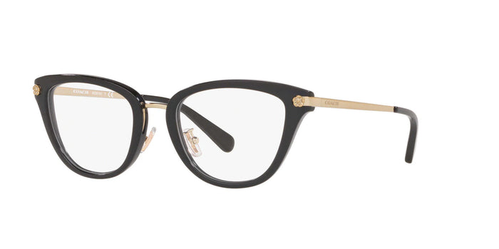 Coach HC6141 Eyeglasses / Black №5002 / Size 51