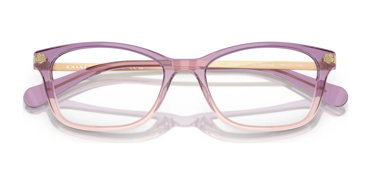 Coach HC6142 Eyeglasses | Size 51