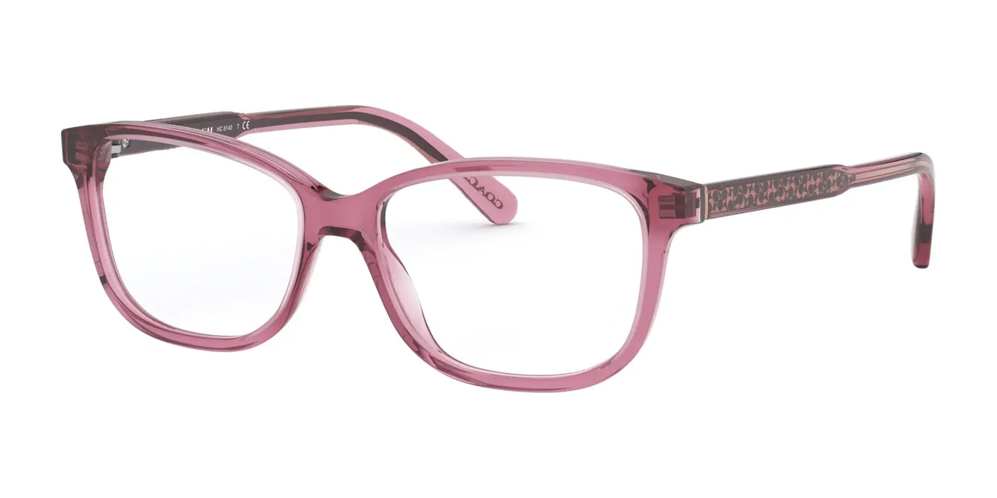 Coach HC6143 Eyeglasses Transparent Mauve