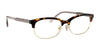 Coach HC6144 Eyeglasses | Size 53 / Dark Tortoise №5120