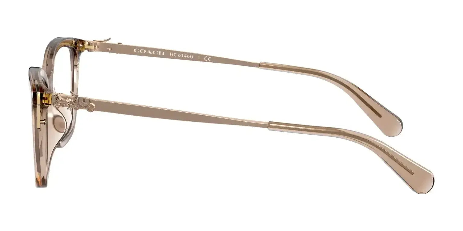 Coach HC6146U Eyeglasses | Size 53