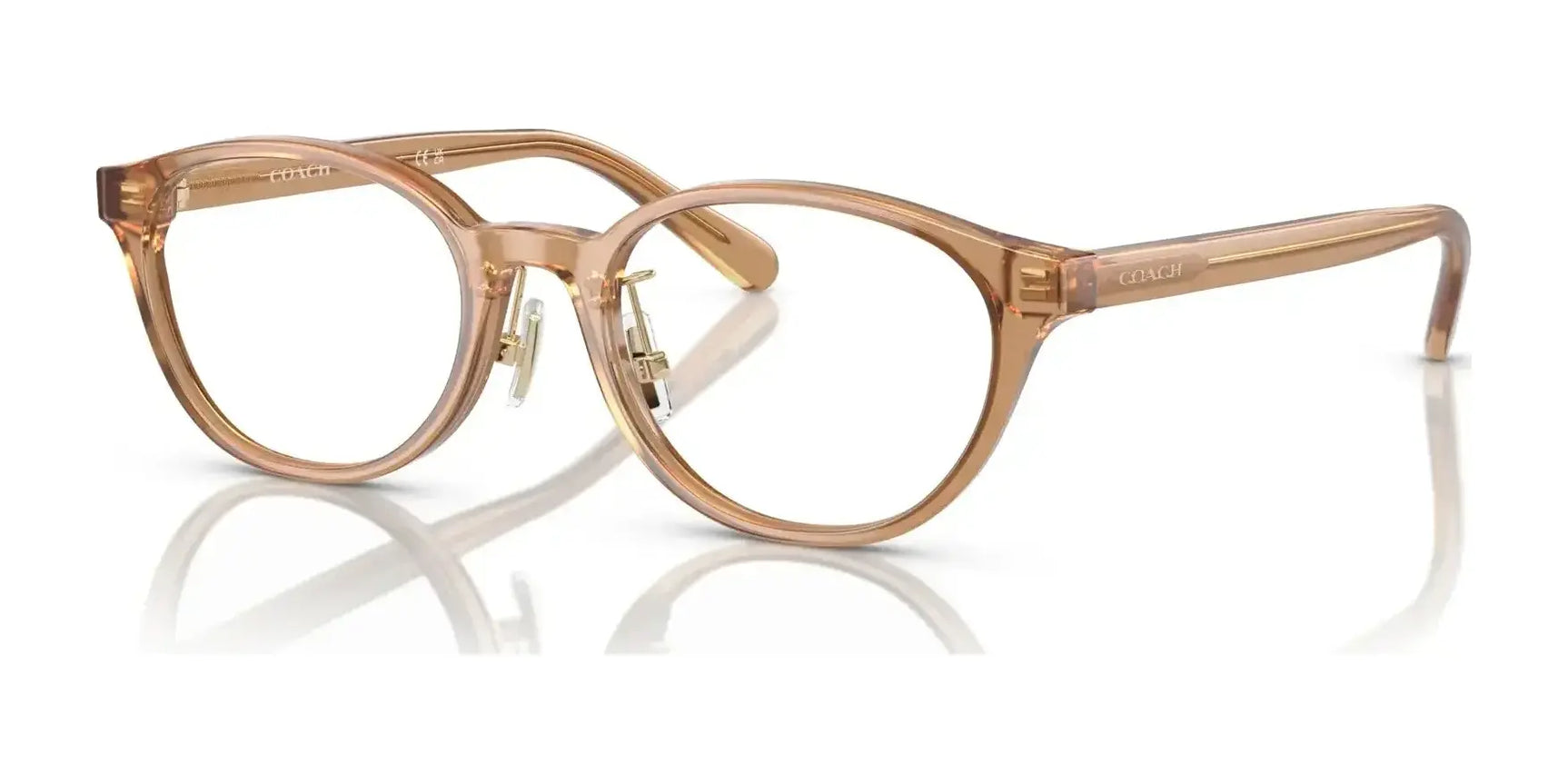 Coach HC6152D Eyeglasses Transparent Brown