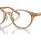 Transparent Brown №5654