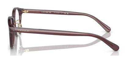 Coach HC6152D Eyeglasses | Size 49