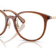 Transparent Brown №5847