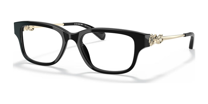 Coach HC6162B Eyeglasses | Size 51 / Black №5002