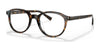 Coach C2103 HC6167U Eyeglasses | Size 51 / Dark Tortoise №5120