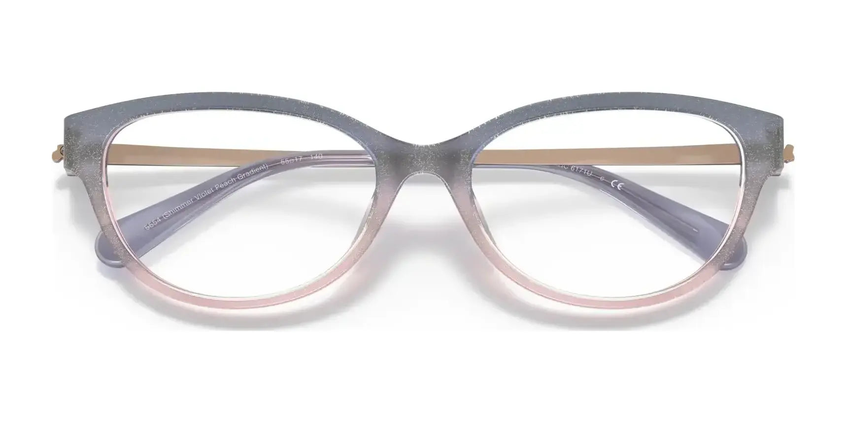 Coach HC6171U Eyeglasses | Size 55