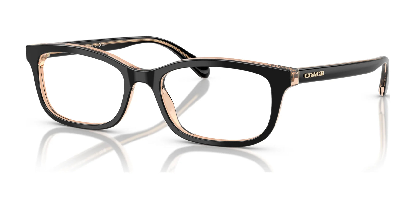 Coach HC6174 Eyeglasses Black / Transparent Blush