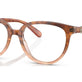 Peach Tortoise Gradient №5652