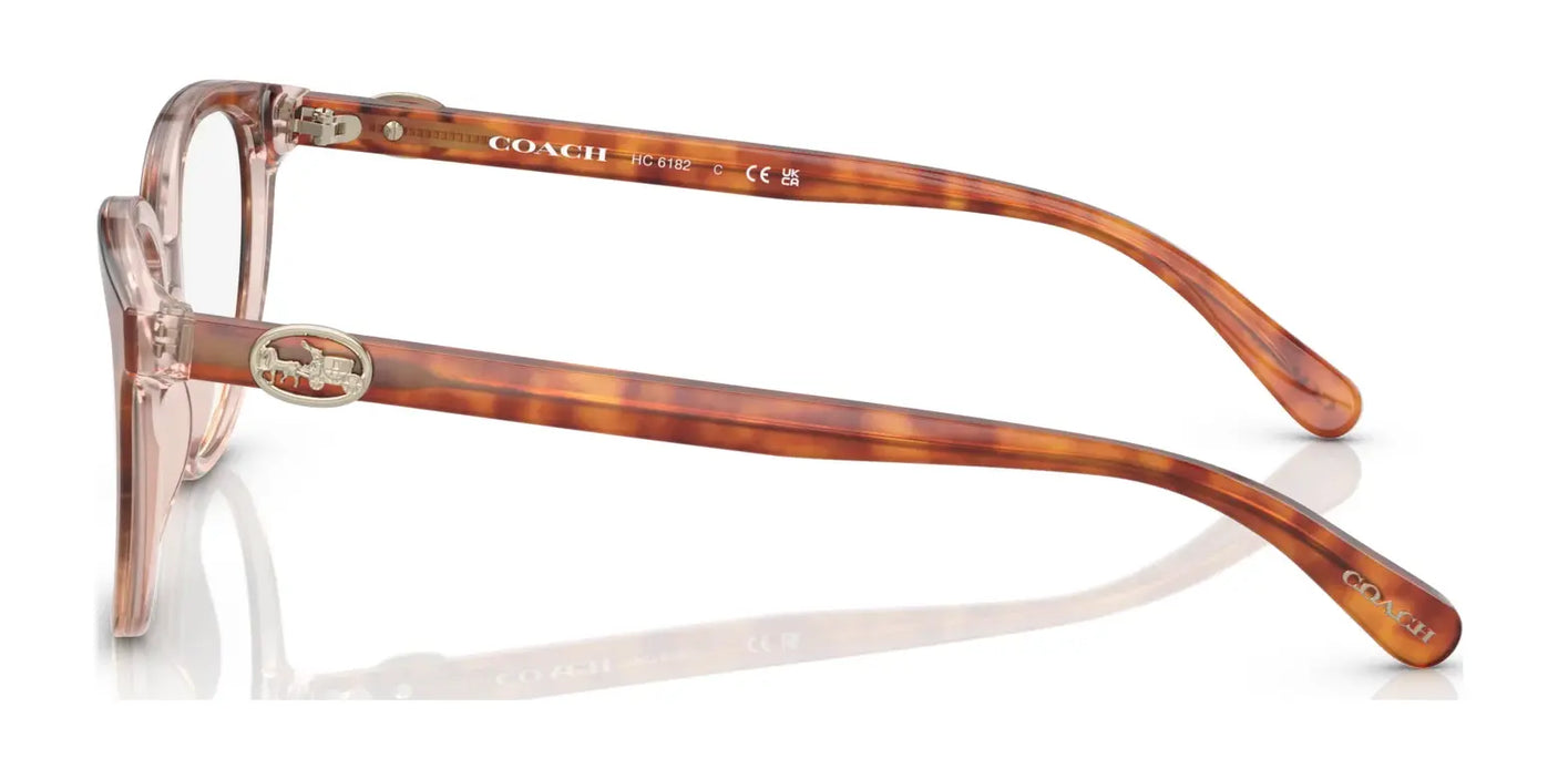 Coach HC6182 Eyeglasses | Size 52