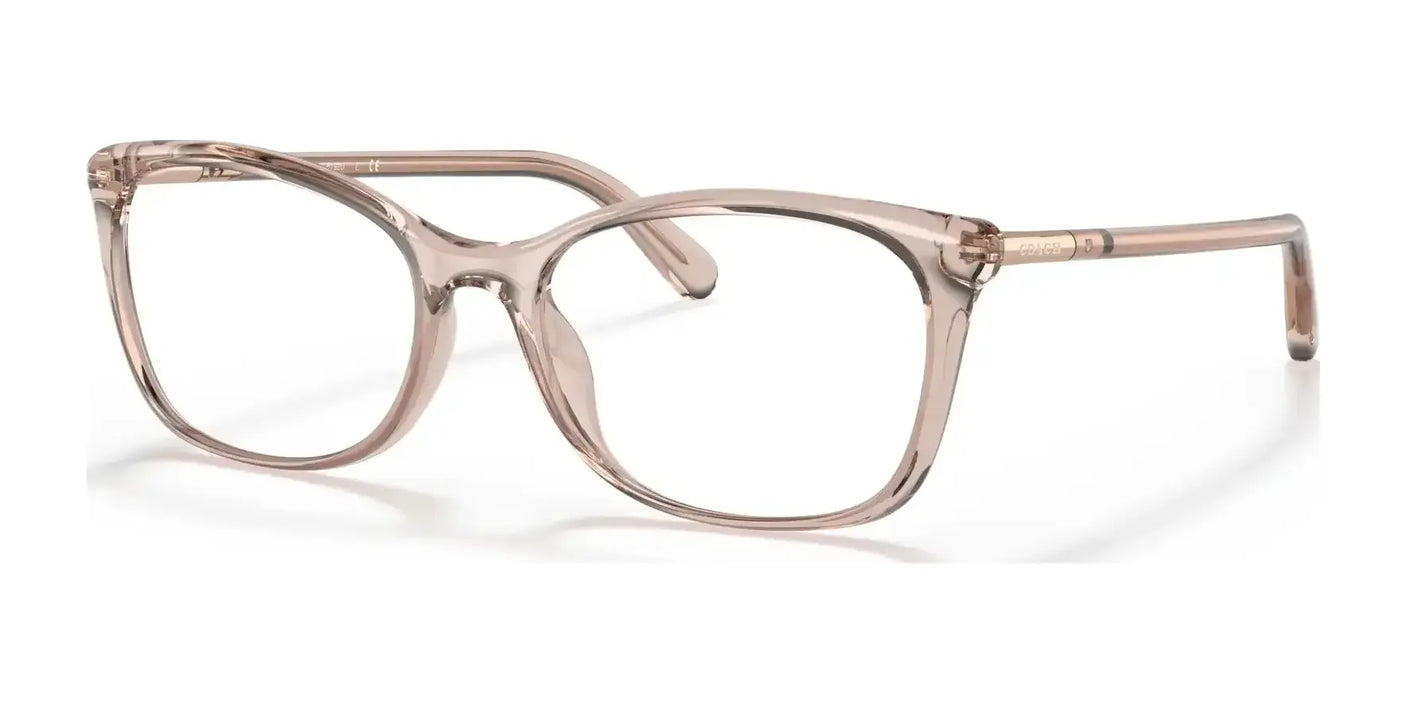 Coach HC6192U Eyeglasses Transparent Pink