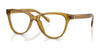 Coach HC6202F Eyeglasses | Size 54 / Transparent Honey №5715
