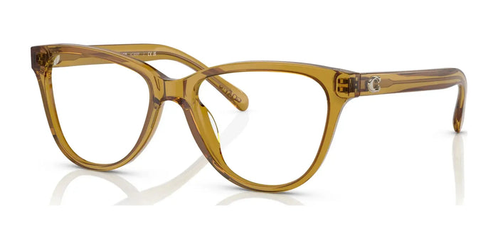 Coach HC6202F Eyeglasses | Size 54 / Transparent Honey №5715