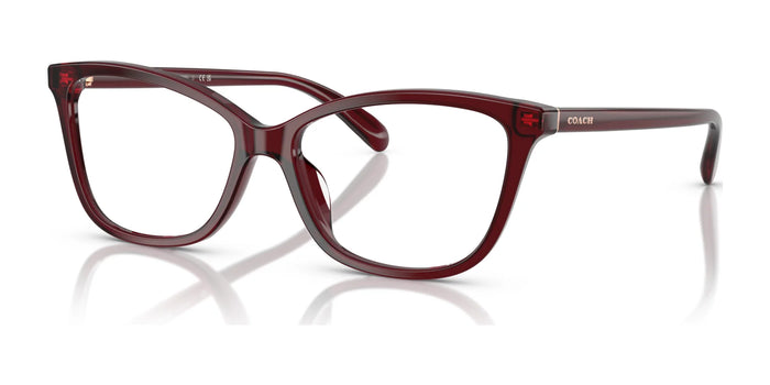 Coach HC6206U Eyeglasses | Size 54 / Milky Burgundy №5393