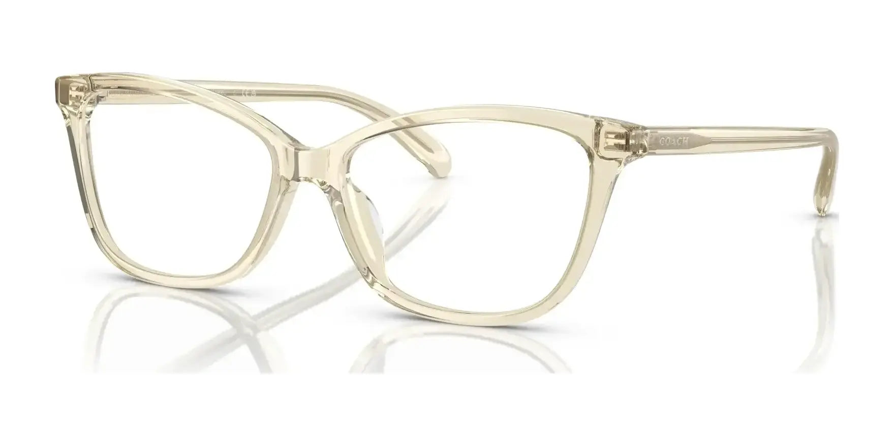 Coach HC6206U Eyeglasses Transparent Fawn