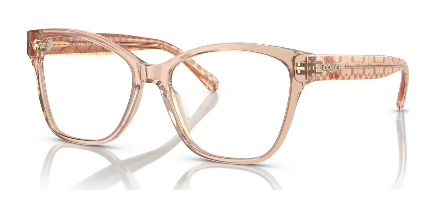 Coach HC6207U Eyeglasses Transparent Brown