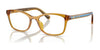 Coach HC6216F Eyeglasses | Size 54 / Transparent Buttercup №5748