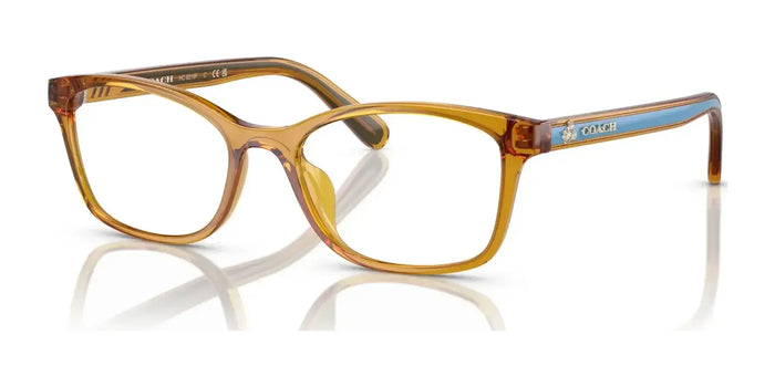 Coach HC6216F Eyeglasses | Size 54 / Transparent Buttercup №5748
