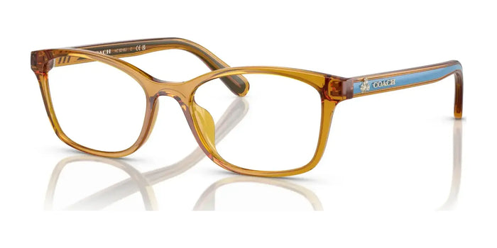 Coach HC6216U Eyeglasses | Size 51 / Transparent Buttercup №5748