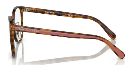 Coach HC6217 Eyeglasses | Size 53