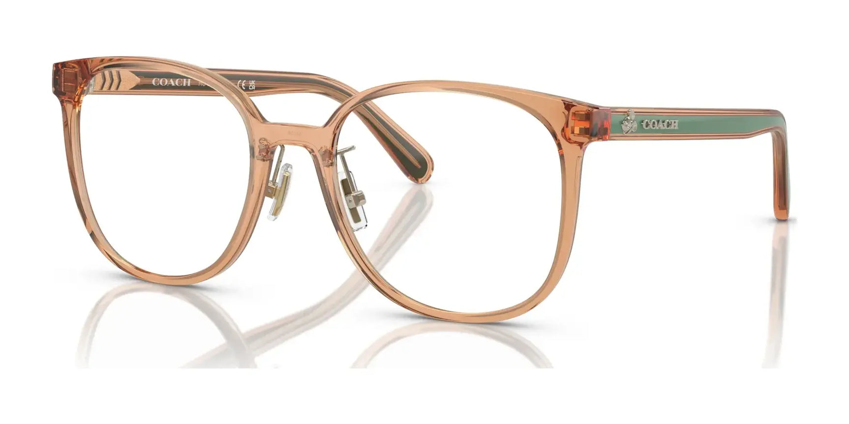 Coach HC6217 Eyeglasses | Size 53