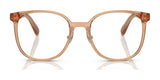 Coach HC6217 Eyeglasses | Size 53