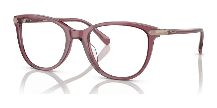 Coach HC6220U Eyeglasses | Size 54 / Transparent Purple №5773