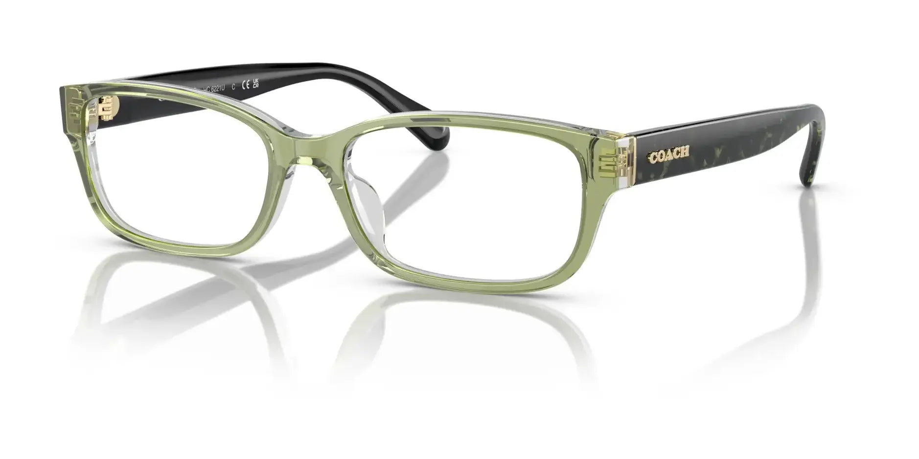 Coach HC6221U Eyeglasses Transparent Green Hopper