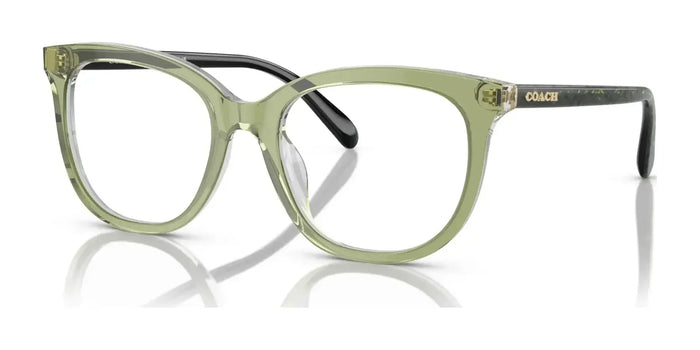 Coach HC6223U Eyeglasses | Size 51 / Transparent Green Hopper №5786