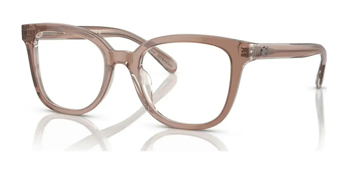 Coach HC6225U Eyeglasses | Size 52 / Transparent Brown / Grey №5779