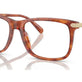 Caramel Tortoise №5774