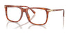 Coach HC6228U Eyeglasses | Size 56 / Caramel Tortoise №5774
