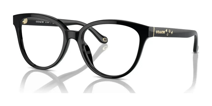 Coach HC6234F Eyeglasses | Size 56 / Black №5002