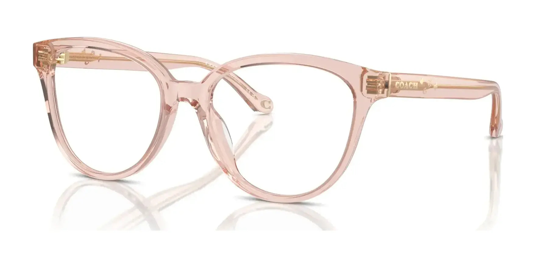 Coach HC6234U Eyeglasses Transparent Dusty Rose