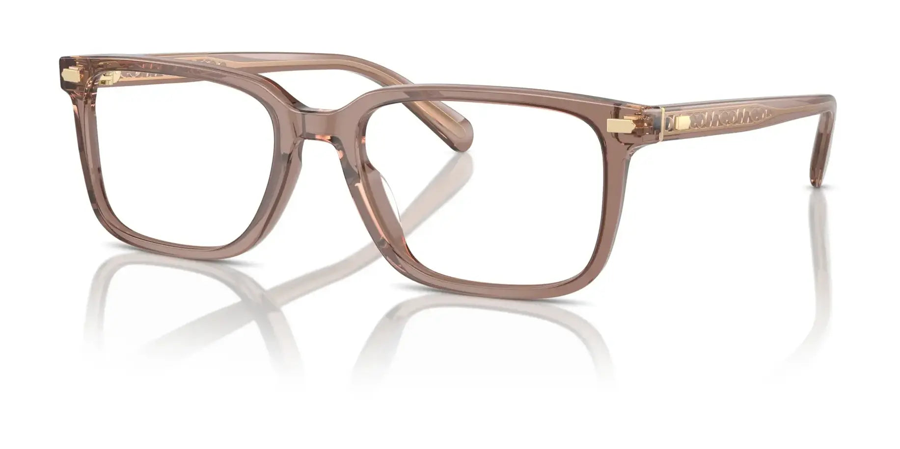 Coach HC6239U Eyeglasses Transparent Pecan